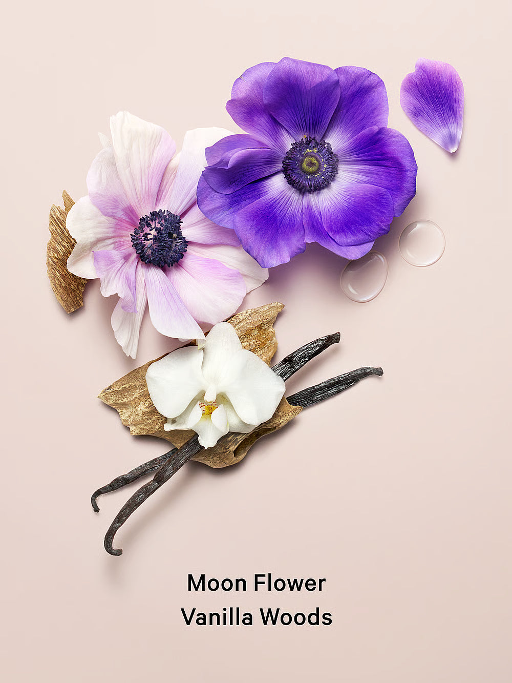 VICTORIA'S SECRET Midnight Bloom Fragrance Lotion 236 mL