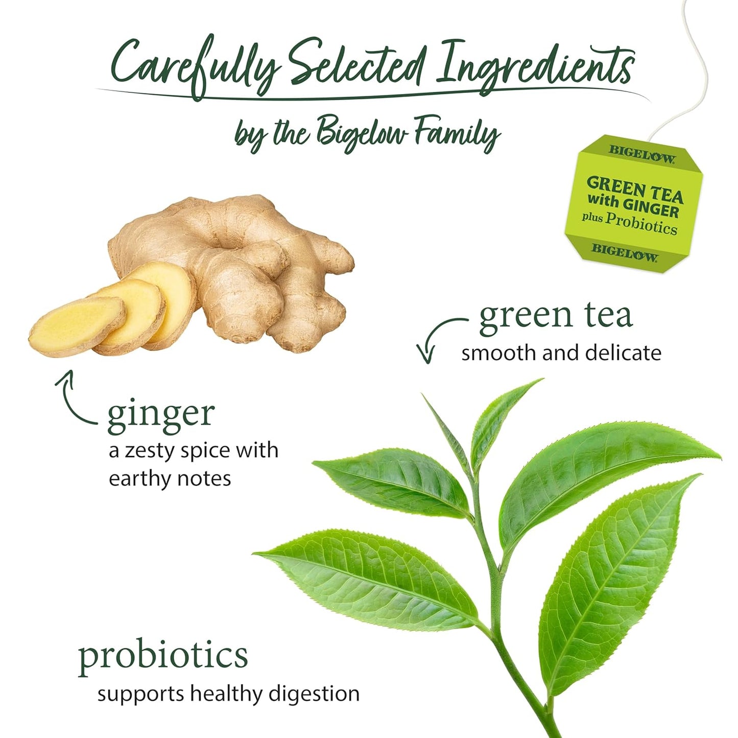 BIGELOW GREEN TEA with Ginger + Probiotics, 18 Tea Bags